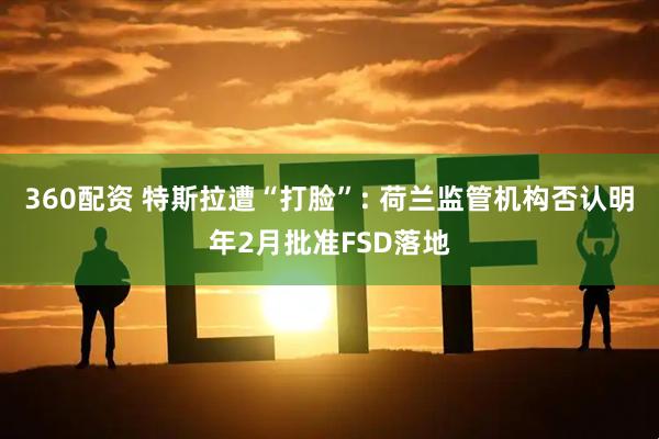 360配资 特斯拉遭“打脸”: 荷兰监管机构否认明年2月批准FSD落地