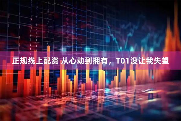 正规线上配资 从心动到拥有，T01没让我失望